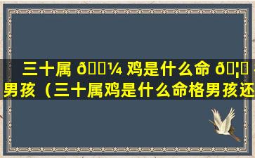 三十属 🌼 鸡是什么命 🦊 格男孩（三十属鸡是什么命格男孩还是女孩）